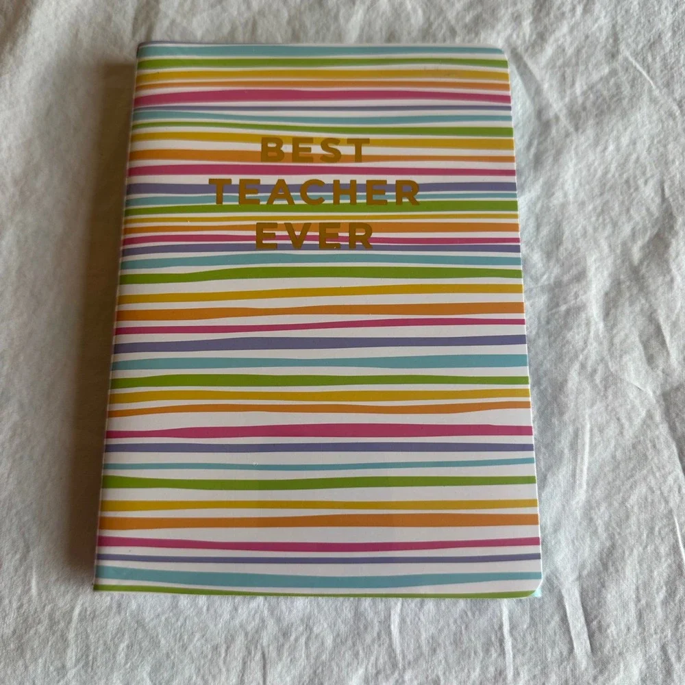 Taylor Elliott Designs Set of 2 Teacher Notebooks 5x7 Lined Journals Blue Stripe